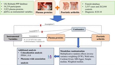 <mark class="highlighted">Plasma proteins</mark> and psoriatic arthritis: a proteome-wide Mendelian randomization study